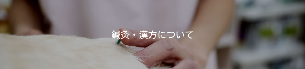鍼灸・漢方について